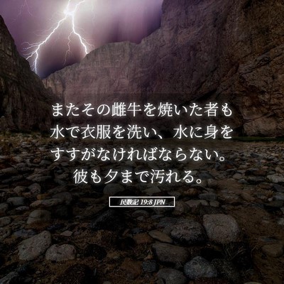 Picture 05 - 民数記 19:8 JPN - またその雌牛を焼いた者も水で衣服 - Bible Verse Picture