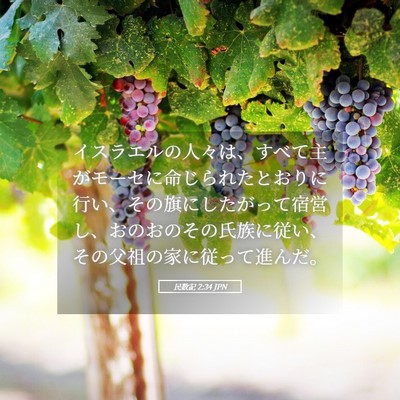 Picture 05 - 民数記 2:34 JPN - イスラエルの人々は、すべて主がモ - Bible Verse Picture