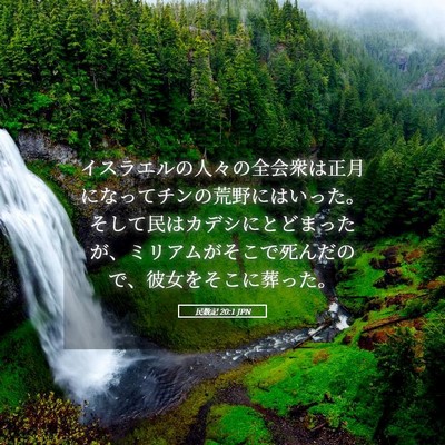 Picture 05 - 民数記 20:1 JPN - イスラエルの人々の全会衆は正月に - Bible Verse Picture
