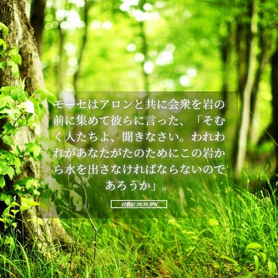 Picture 05 - 民数記 20:10 JPN - モーセはアロンと共に会衆を岩の前 - Bible Verse Picture