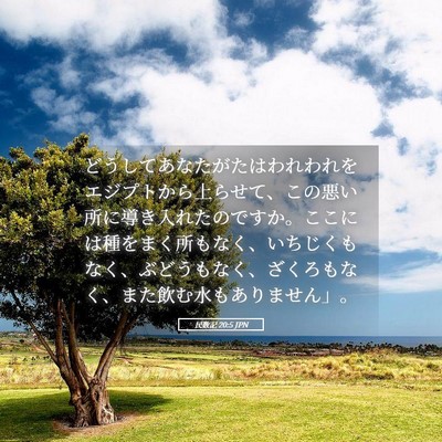 Picture 05 - 民数記 20:5 JPN - どうしてあなたがたはわれわれをエ - Bible Verse Picture