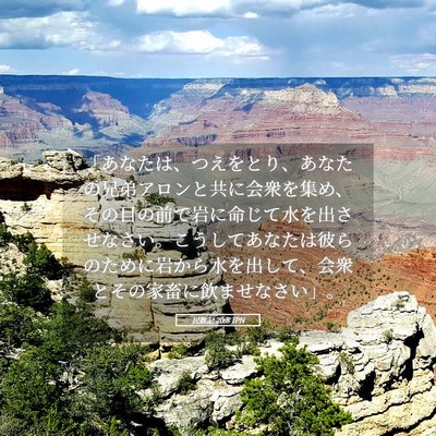 Picture 05 - 民数記 20:8 JPN - 「あなたは、つえをとり、あなたの - Bible Verse Picture