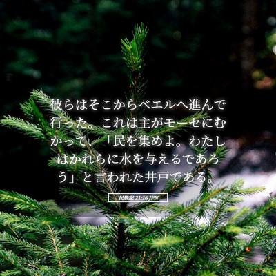Picture 05 - 民数記 21:16 JPN - 彼らはそこからベエルへ進んで行っ - Bible Verse Picture
