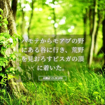 Picture 05 - 民数記 21:20 JPN - バモテからモアブの野にある谷に行 - Bible Verse Picture