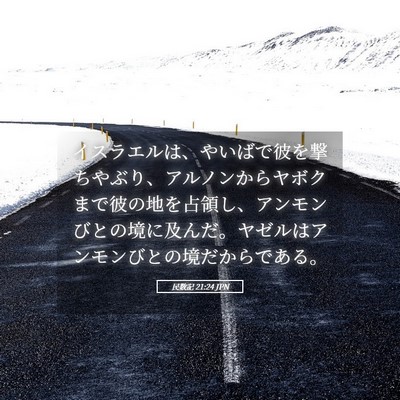 Picture 05 - 民数記 21:24 JPN - イスラエルは、やいばで彼を撃ちや - Bible Verse Picture