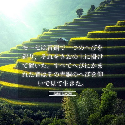 Picture 05 - 民数記 21:9 JPN - モーセは青銅で一つのへびを造り、 - Bible Verse Picture