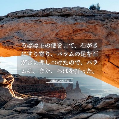 Picture 05 - 民数記 22:25 JPN - ろばは主の使を見て、石がきにすり - Bible Verse Picture