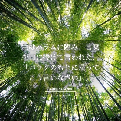 Picture 05 - 民数記 23:16 JPN - 主はバラムに臨み、言葉を口に授け - Bible Verse Picture