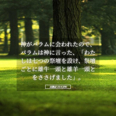 Picture 05 - 民数記 23:4 JPN - 神がバラムに会われたので、バラム - Bible Verse Picture
