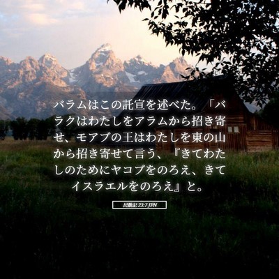 Picture 05 - 民数記 23:7 JPN - バラムはこの託宣を述べた。「バラ - Bible Verse Picture