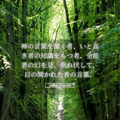 Picture 05 - 民数記 24:16 JPN - 神の言葉を聞く者、いと高き者の知 - Bible Verse Picture