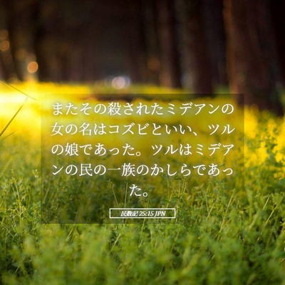 Picture 05 - 民数記 25:15 JPN - またその殺されたミデアンの女の名 - Bible Verse Picture
