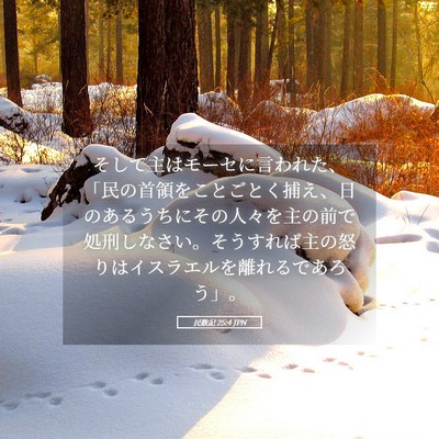 Picture 05 - 民数記 25:4 JPN - そして主はモーセに言われた、「民 - Bible Verse Picture