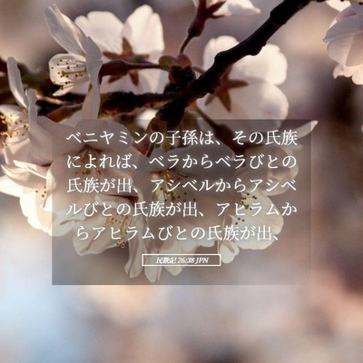 Picture 05 - 民数記 26:38 JPN - ベニヤミンの子孫は、その氏族によ - Bible Verse Picture