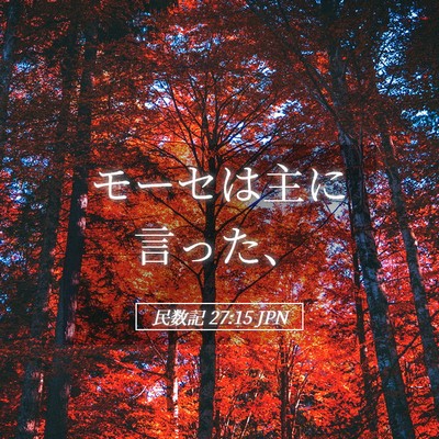 Picture 05 - 民数記 27:15 JPN - モーセは主に言った、 - Bible Verse Picture