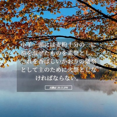 Picture 05 - 民数記 28:13 JPN - 小羊一頭には麦粉十分の一に油を混 - Bible Verse Picture