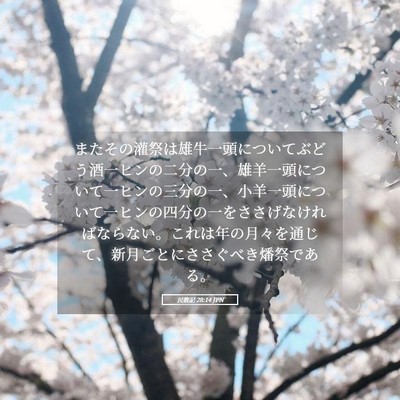 Picture 05 - 民数記 28:14 JPN - またその灌祭は雄牛一頭についてぶ - Bible Verse Picture