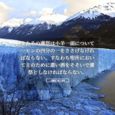 Picture 05 - 民数記 28:7 JPN - またその灌祭は小羊一頭について一 - Bible Verse Picture