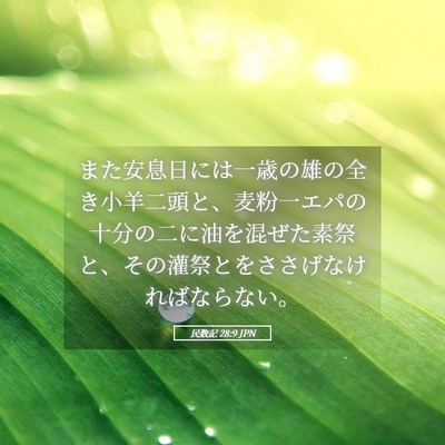 Picture 05 - 民数記 28:9 JPN - また安息日には一歳の雄の全き小羊 - Bible Verse Picture