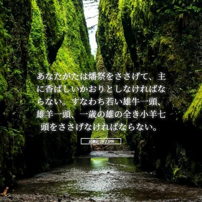 Picture 05 - 民数記 29:2 JPN - あなたがたは燔祭をささげて、主に - Bible Verse Picture