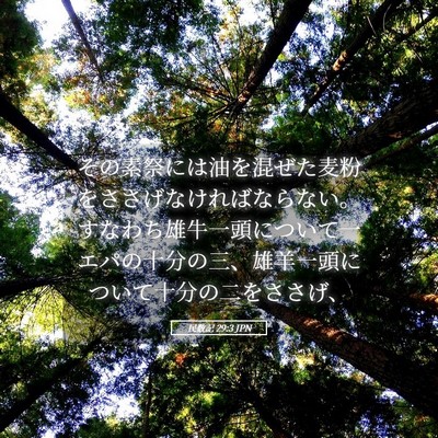 Picture 05 - 民数記 29:3 JPN - その素祭には油を混ぜた麦粉をささ - Bible Verse Picture