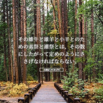 Picture 05 - 民数記 29:30 JPN - その雄牛と雄羊と小羊とのための素 - Bible Verse Picture