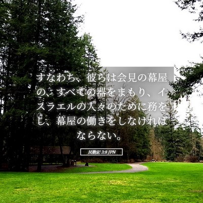 Picture 05 - 民数記 3:8 JPN - すなわち、彼らは会見の幕屋の、す - Bible Verse Picture