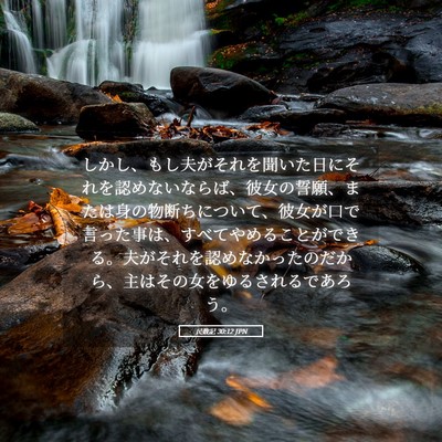 Picture 05 - 民数記 30:12 JPN - しかし、もし夫がそれを聞いた日に - Bible Verse Picture
