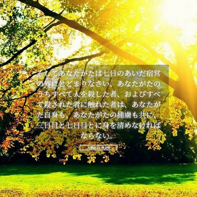 Picture 05 - 民数記 31:19 JPN - そしてあなたがたは七日のあいだ宿 - Bible Verse Picture