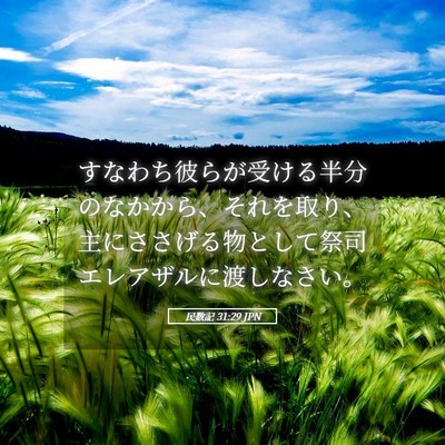 Picture 05 - 民数記 31:29 JPN - すなわち彼らが受ける半分のなかか - Bible Verse Picture