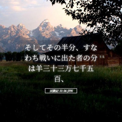 Picture 05 - 民数記 31:36 JPN - そしてその半分、すなわち戦いに出 - Bible Verse Picture