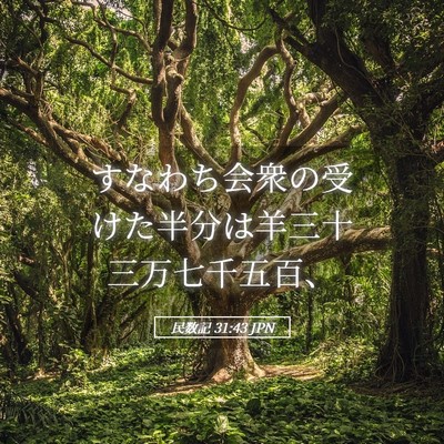 Picture 05 - 民数記 31:43 JPN - すなわち会衆の受けた半分は羊三十 - Bible Verse Picture