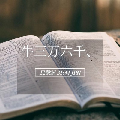 Picture 05 - 民数記 31:44 JPN - 牛三万六千、 - Bible Verse Picture