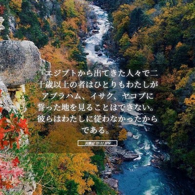 Picture 05 - 民数記 32:11 JPN - 『エジプトから出てきた人々で二十 - Bible Verse Picture