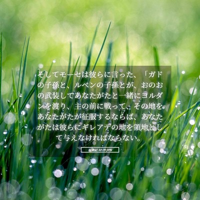 Picture 05 - 民数記 32:29 JPN - そしてモーセは彼らに言った、「ガ - Bible Verse Picture