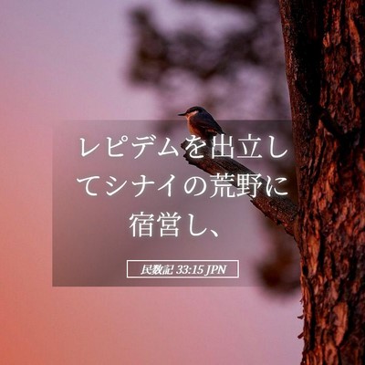 Picture 05 - 民数記 33:15 JPN - レピデムを出立してシナイの荒野に - Bible Verse Picture
