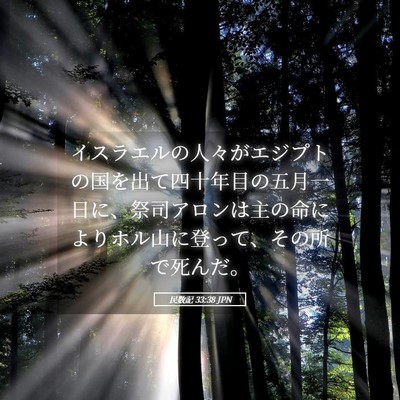 Picture 05 - 民数記 33:38 JPN - イスラエルの人々がエジプトの国を - Bible Verse Picture
