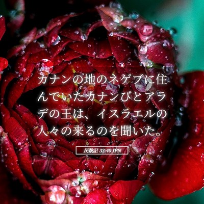 Picture 05 - 民数記 33:40 JPN - カナンの地のネゲブに住んでいたカ - Bible Verse Picture