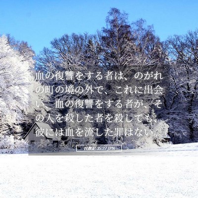 Picture 05 - 民数記 35:27 JPN - 血の復讐をする者は、のがれの町の - Bible Verse Picture