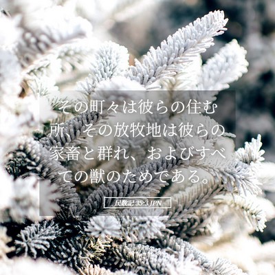 Picture 05 - 民数記 35:3 JPN - その町々は彼らの住む所、その放牧 - Bible Verse Picture