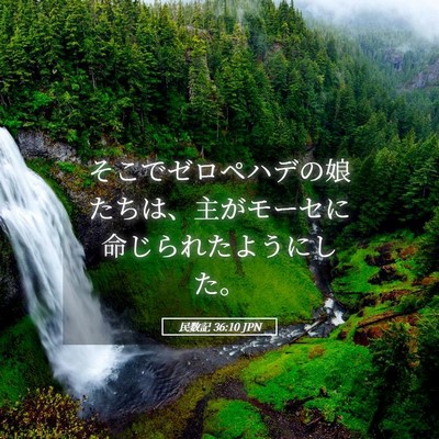 Picture 05 - 民数記 36:10 JPN - そこでゼロペハデの娘たちは、主が - Bible Verse Picture