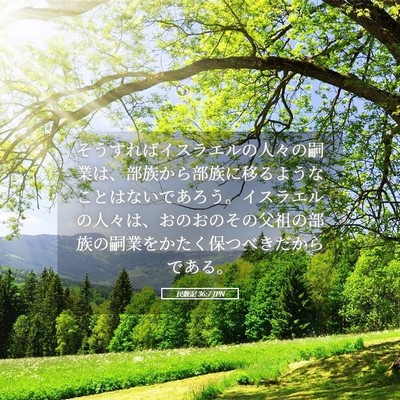 Picture 05 - 民数記 36:7 JPN - そうすればイスラエルの人々の嗣業 - Bible Verse Picture