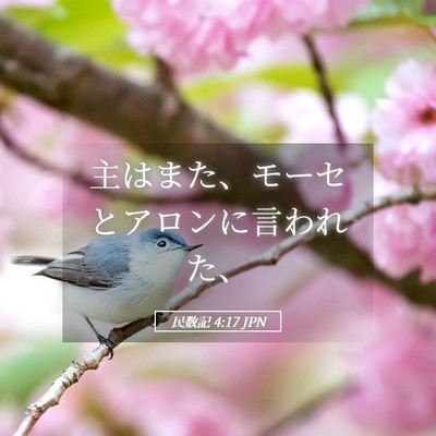 Picture 05 - 民数記 4:17 JPN - 主はまた、モーセとアロンに言われ - Bible Verse Picture