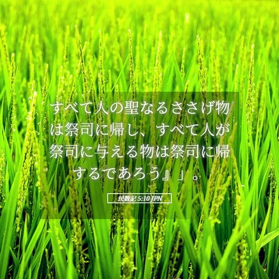 Picture 05 - 民数記 5:10 JPN - すべて人の聖なるささげ物は祭司に - Bible Verse Picture