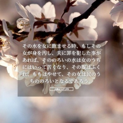 Picture 05 - 民数記 5:27 JPN - その水を女に飲ませる時、もしその - Bible Verse Picture