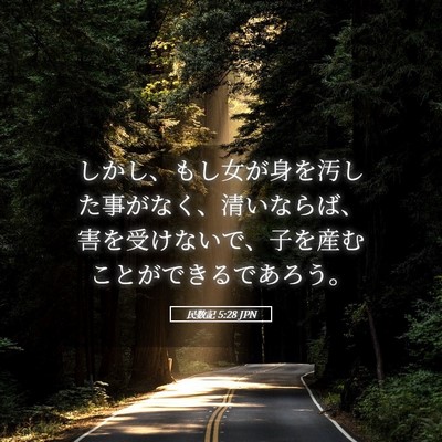 Picture 05 - 民数記 5:28 JPN - しかし、もし女が身を汚した事がな - Bible Verse Picture