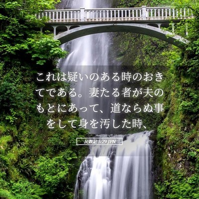 Picture 05 - 民数記 5:29 JPN - これは疑いのある時のおきてである - Bible Verse Picture