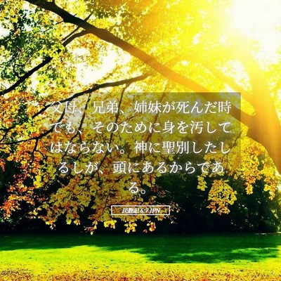 Picture 05 - 民数記 6:7 JPN - 父母、兄弟、姉妹が死んだ時でも、 - Bible Verse Picture
