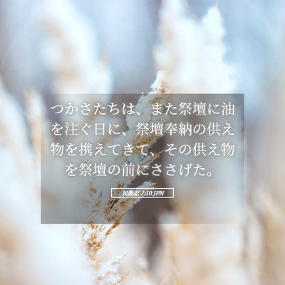 Picture 05 - 民数記 7:10 JPN - つかさたちは、また祭壇に油を注ぐ - Bible Verse Picture