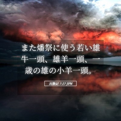 Picture 05 - 民数記 7:27 JPN - また燔祭に使う若い雄牛一頭、雄羊 - Bible Verse Picture